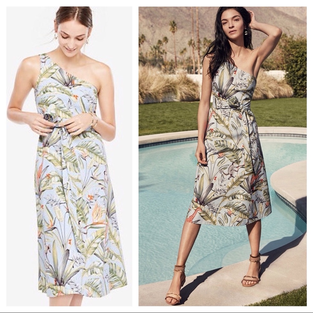 NWT Ann Taylor One Shoulder Tropical Dress 🐒